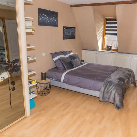 Charmant Appartement Alsacien Ribeauvillé Eksteriør billede