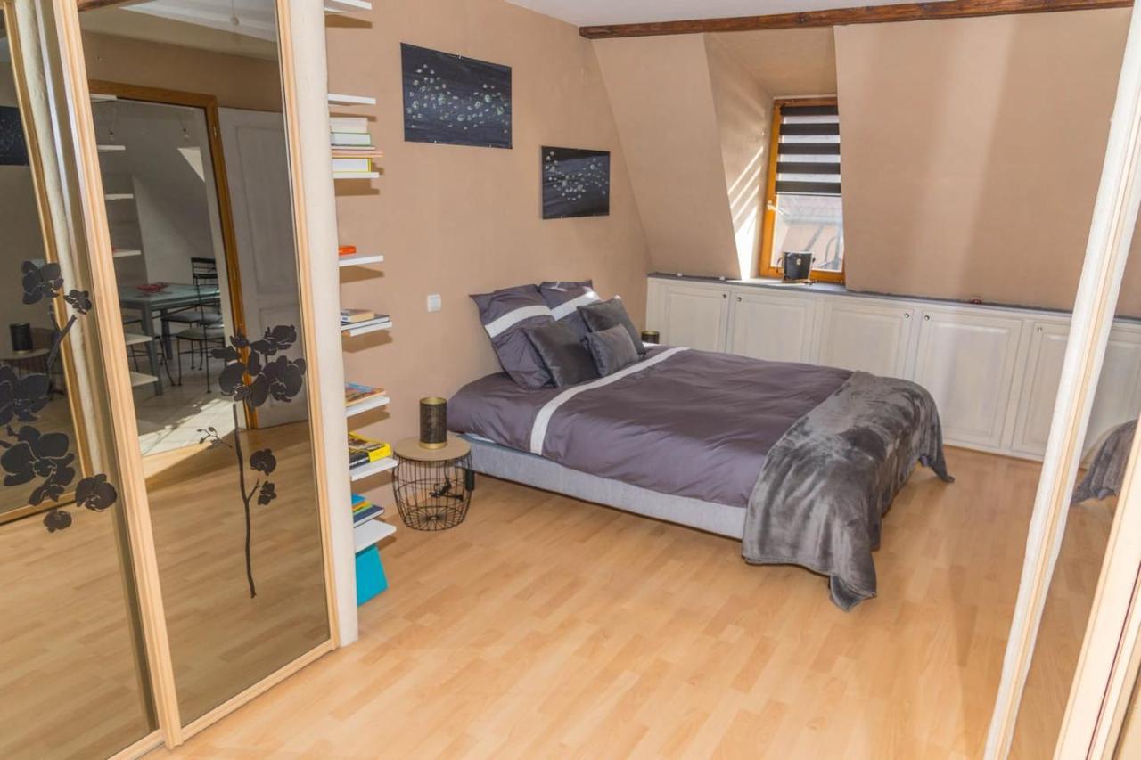 Charmant Appartement Alsacien Ribeauvillé Eksteriør billede