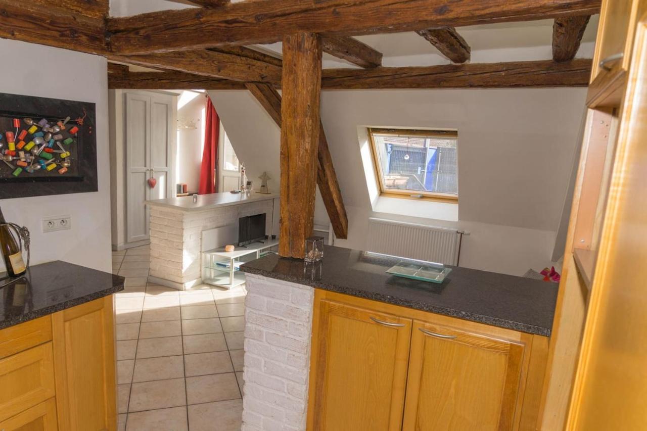 Charmant Appartement Alsacien Ribeauvillé Eksteriør billede