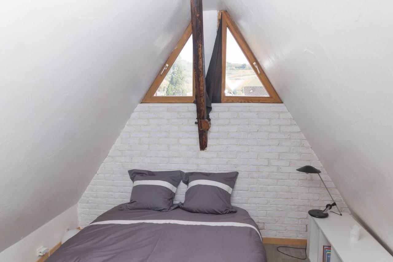 Charmant Appartement Alsacien Ribeauvillé Eksteriør billede